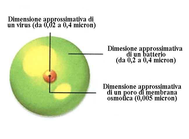 Dimensione membrana osmotica