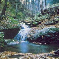 Acqua incontaminata